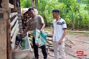 'Mường Khiêng phát triển lợi thế về chăn nuôi