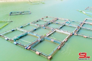 'Sức sống mới trên vùng lòng hồ