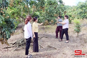 'Hiệu quả vốn vay chính sách