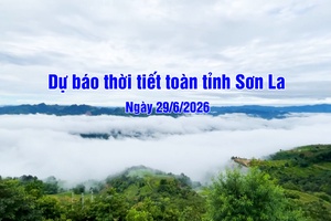 'Dự báo thời tiết toàn tỉnh Sơn La ngày 29/6/2026