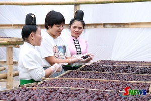 'Chế biến sâu, nâng tầm giá trị quả mận