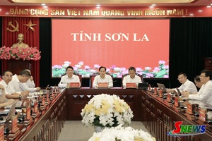 Phiên họp Chính phủ thường kỳ tháng 6 và Hội nghị trực tuyến Chính phủ với các địa phương