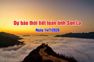 'Dự báo thời tiết toàn tỉnh Sơn La ngày 14/7/2026