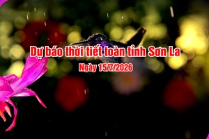 'Dự báo thời tiết toàn tỉnh Sơn La ngày 15/7/2026