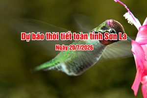 'Dự báo thời tiết toàn tỉnh Sơn La ngày 20/7/2026