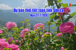'Dự báo thời tiết toàn tỉnh Sơn La ngày 27/07/2026
