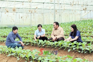 'Đất khỏe thì cây khỏe