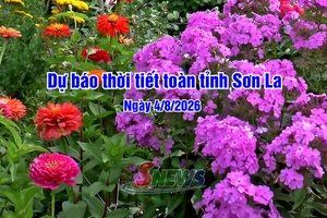 'Dự báo thời tiết toàn tỉnh Sơn La ngày 04/8/2026