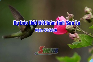 'Dự báo thời tiết toàn tỉnh Sơn La ngày 05/8/2026