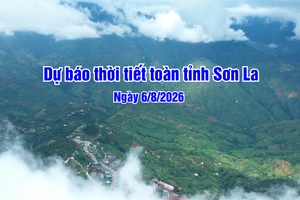 'Dự báo thời tiết toàn tỉnh Sơn La ngày 6/8/2026