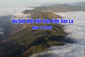 'Dự báo thời tiết toàn tỉnh Sơn La ngày 07/8/2026