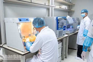 Đẩy mạnh tìm kiếm, quy tập hài cốt liệt sĩ và nâng cao năng lực giám định ADN

