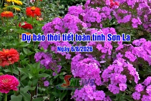'Dự báo thời tiết toàn tỉnh Sơn La ngày 12/8/2026