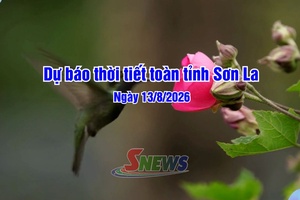 'Dự báo thời tiết toàn tỉnh Sơn La ngày 13/8/2026
