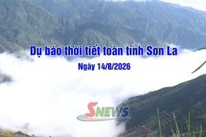 'Dự báo thời tiết toàn tỉnh Sơn La ngày 14/8/2026