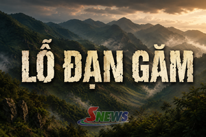 Truyện Podcast: Lỗ đạn găm