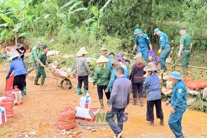 'Ra quân khắc phục thiên tai, ngăn dòng nước lũ, bảo vệ diện tích lúa mùa