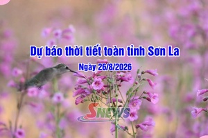 'Dự báo thời tiết toàn tỉnh Sơn La ngày 26/8/2026