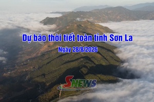 'Dự báo thời tiết toàn tỉnh Sơn La ngày 28/8/2026