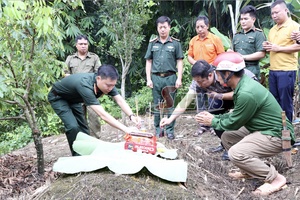 'Hoành thành lấy mẫu  giám định, xác định danh tính hài cốt liệt sĩ tại 7 nghĩa trang liệt sĩ