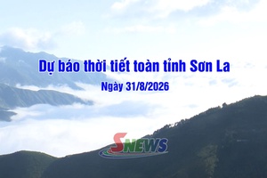 'Dự báo thời tiết toàn tỉnh Sơn La ngày 31/8/2026