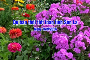 'Dự báo thời tiết toàn tỉnh Sơn La ngày 16/9/2026