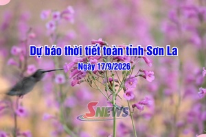 'Dự báo thời tiết toàn tỉnh Sơn La ngày 17/9/2026