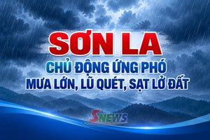 'Sơn La chủ động ứng phó mưa lớn, lũ quét, sạt lở đất
