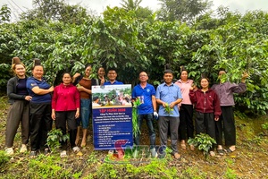 'Bước chuyển đổi xanh, để nâng cao sức cạnh tranh