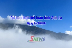 'Dự báo thời tiết toàn tỉnh Sơn La ngày 24/9/2026