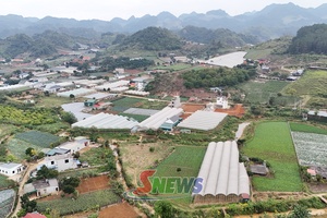 Thúc đẩy nông nghiệp phát triển theo hướng xanh và bền vững