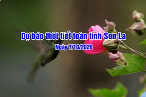 'Dự báo thời tiết toàn tỉnh Sơn La ngày 07/10/2026