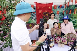 'Nâng cao năng lực số cho HTX nông nghiệp
