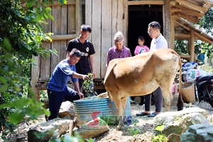 'Hỗ trợ sinh kế và xóa nhà tạm cho hộ nghèo