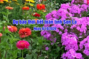 'Dự báo thời tiết toàn tỉnh Sơn La ngày 08/10/2026