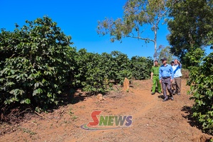 'Sẵn sàng cho Giải chạy Marathon “Arabica” tỉnh Sơn La năm 2026