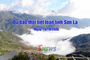 'Dự báo thời tiết toàn tỉnh Sơn La ngày 15/10/2026
