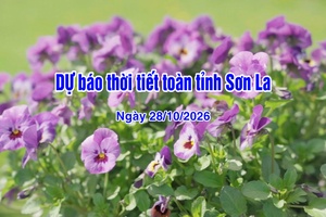 'Dự báo thời tiết toàn tỉnh Sơn La ngày 28/10/2026