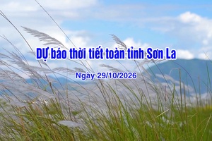 'Dự báo thời tiết toàn tỉnh Sơn La ngày 29/10/2026
