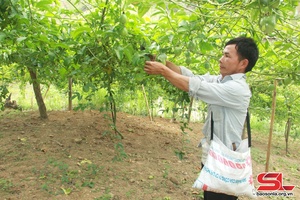 Về Mường Lựm hôm nay
