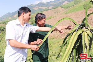  Liên kết sản xuất, phát triển bền vững