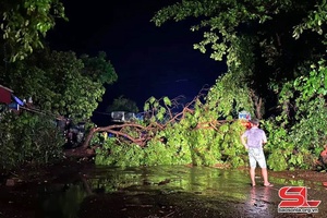 Mưa lớn gây thiệt hại tại huyện Phù Yên
