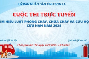 'Phát động Cuộc thi trực tuyến “Tìm hiểu Luật phòng cháy, chữa cháy và cứu nạn, cứu hộ năm 2024”
