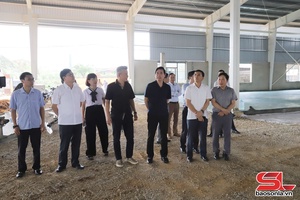 Đồng chí Bí thư Tỉnh ủy kiểm tra tiến độ các dự án tại Khu công nghiệp Mai Sơn