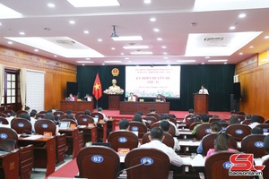 Kỳ họp chuyên đề thứ 31, HĐND tỉnh khóa XV