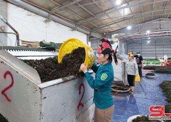 Chương hang chôm hặp khài pày mương nọ cựt đảy 106,8 triệu ngơn đô