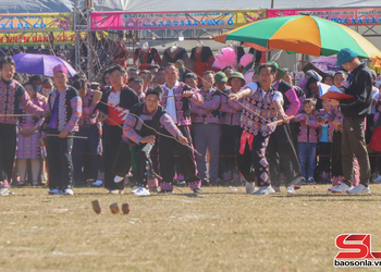 Long Luong to hold peach blossom festival 2025 on February 7-9