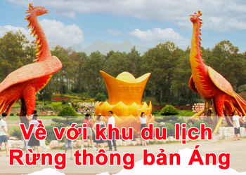Về với khu du lịch Rừng thông bản Áng
