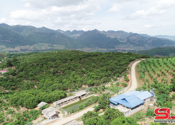 “Hộ chiếu” đưa nông sản vươn xa