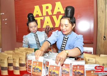 Xây dựng các HTX nông nghiệp hoạt động hiệu quả